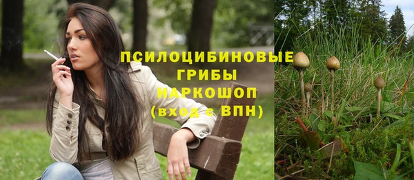 прущая мука Абаза